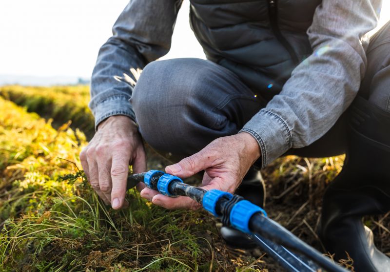Irrigation Valve Repair